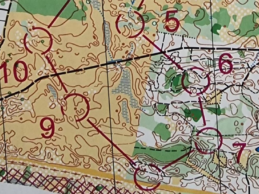 orienteringsloeb-2026.jpg